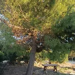 Ca' Sale Βίλα Μαρσάλα